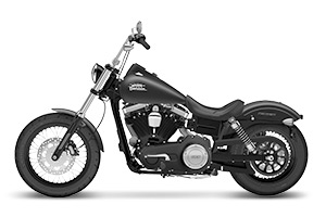  Cruiser