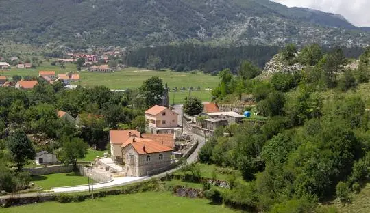Njeguši