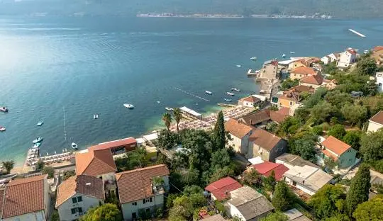 Đenovići