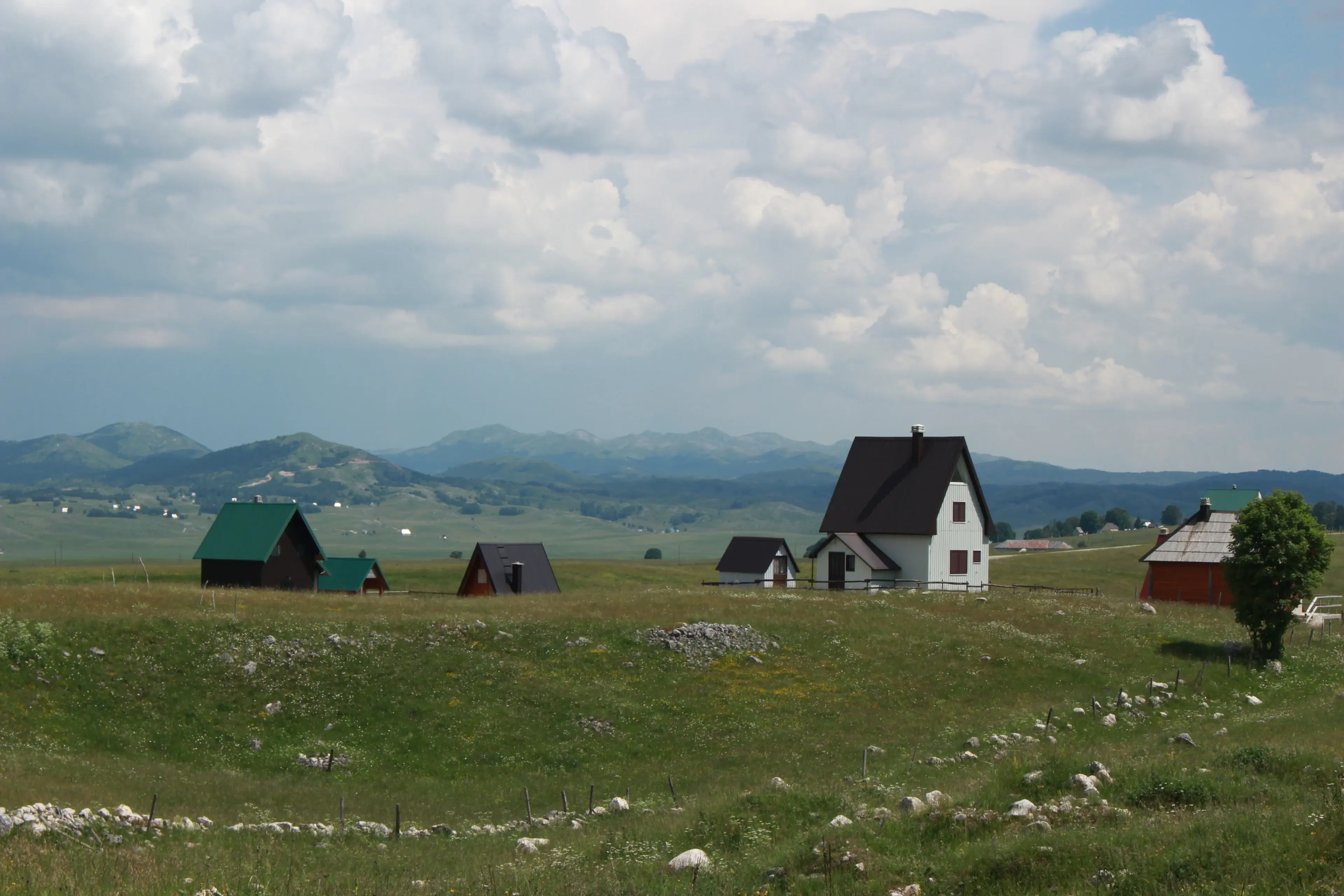 Mojkovac
