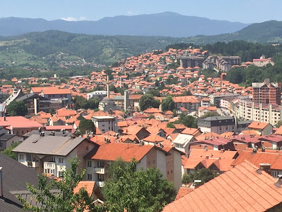 Pljevlja